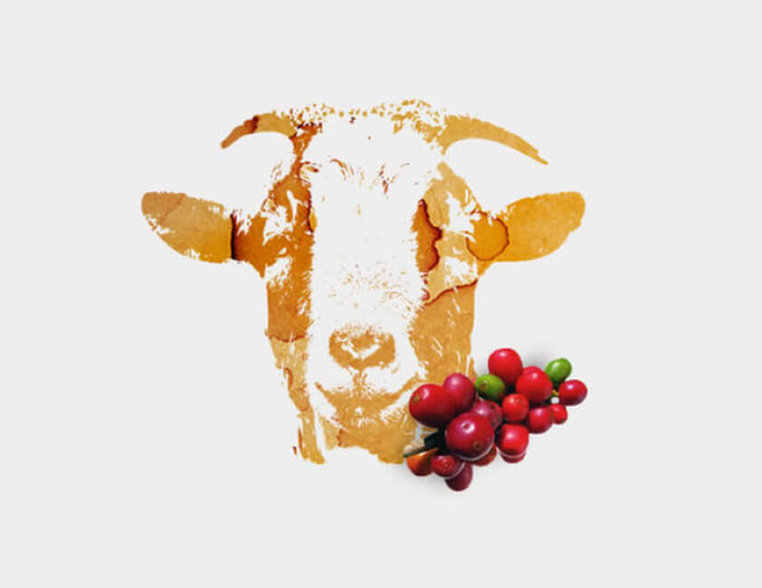  O pastor e as Cabras}