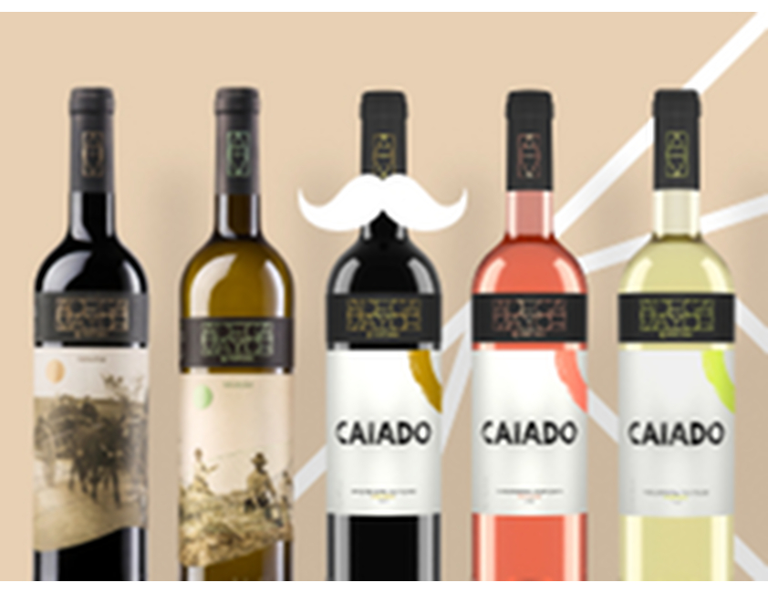 Campanha dia dos pais Vinho Adega Mayor