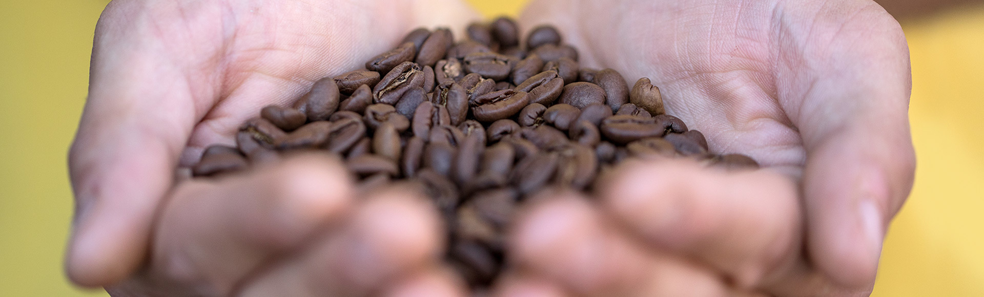   DELTA Q   Atrás de cada momento <p>Delta Q há uma <p>longa história... 