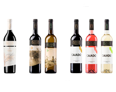OS NOSSOS VINHOS