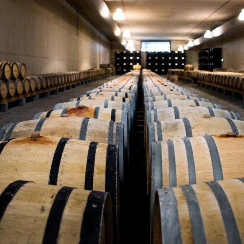 Adega Mayor Verdelho Branco 2022 750ml